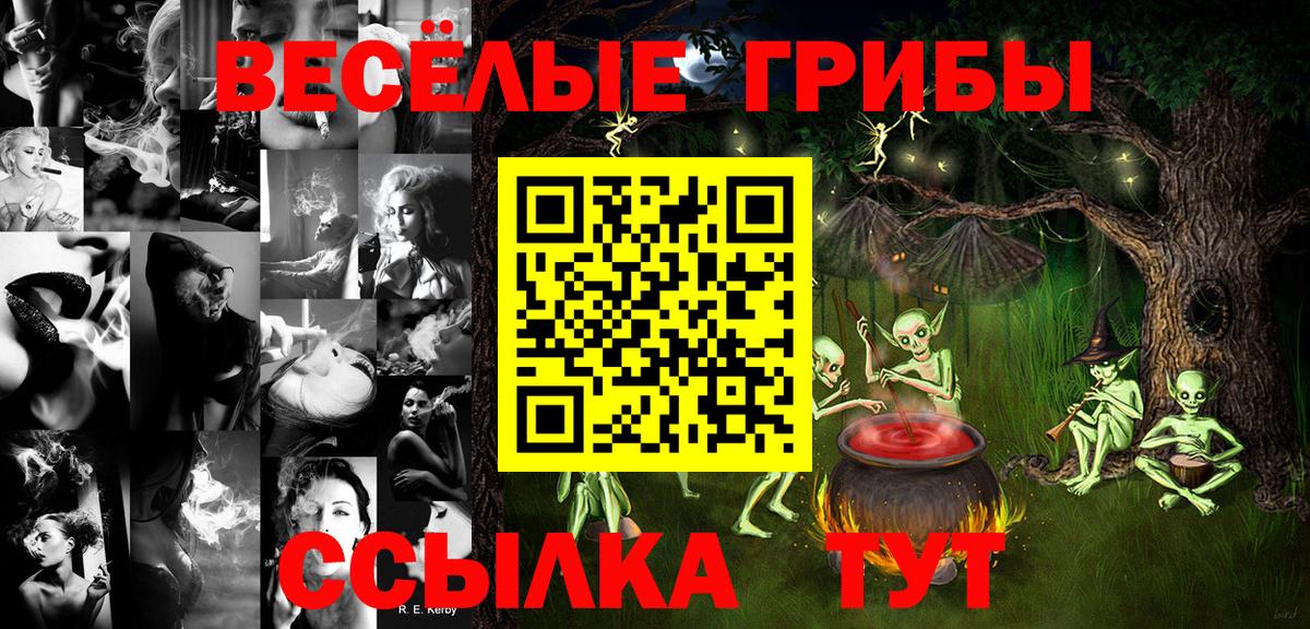 ГАШИШ  Димитровград  А ПВП СК кристаллы  МЕФ кристаллы  Вход с VPN  ГАШИШ 