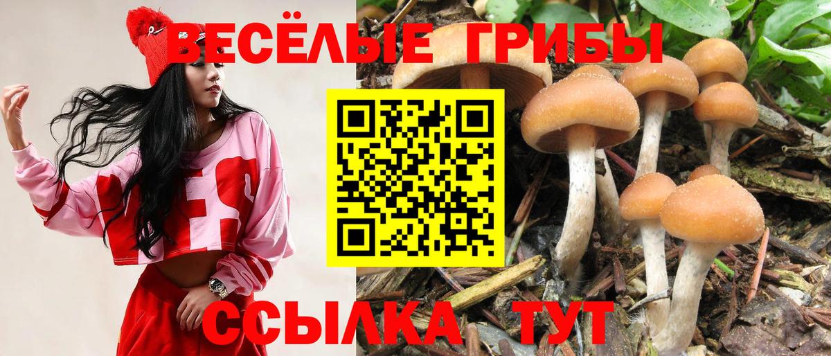 Псилоцибиновые грибы MAGIC MUSHROOMS Димитровград