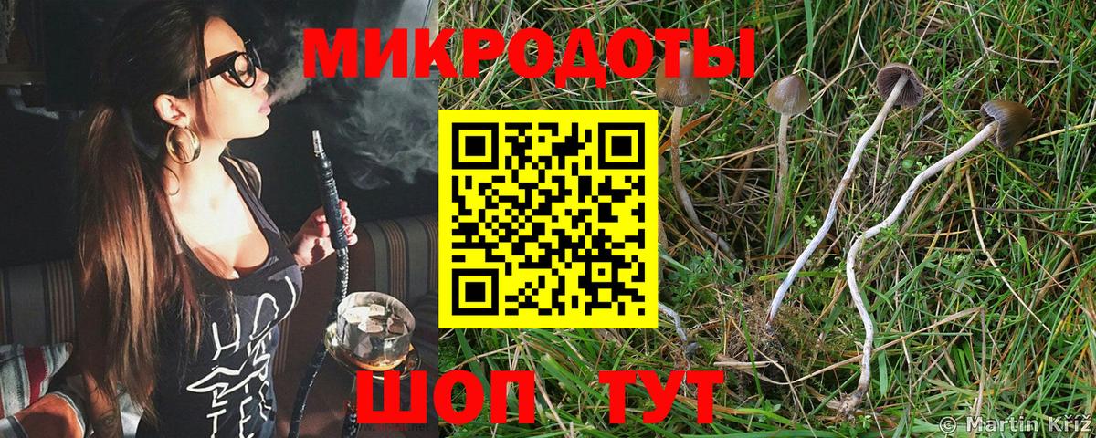Димитровград  Галлюциногенные грибы Cubensis  Вход с VPN  Галлюциногенные грибы мицелий 